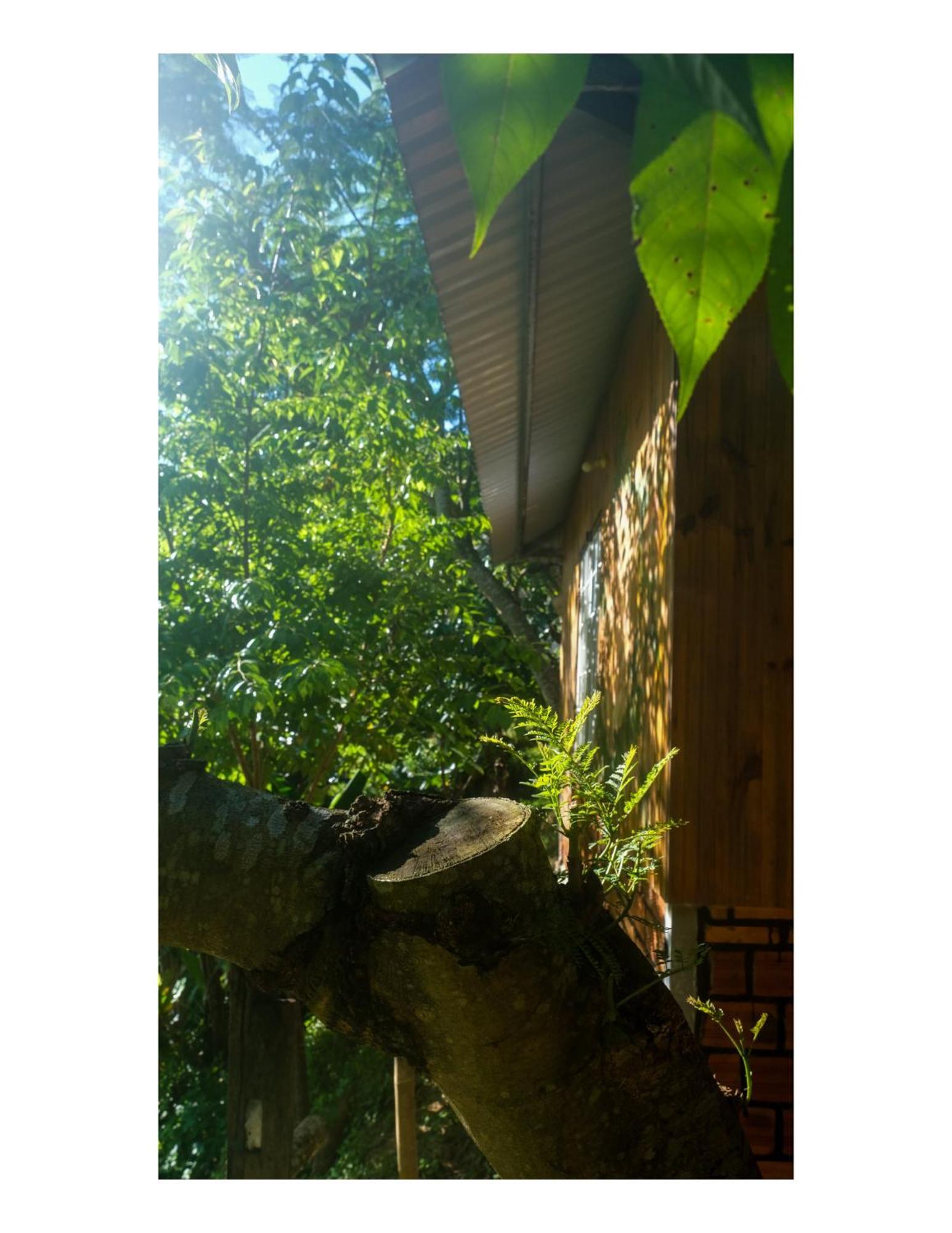 Nha Ben Ho - Da Lat Homestay Bagian luar foto
