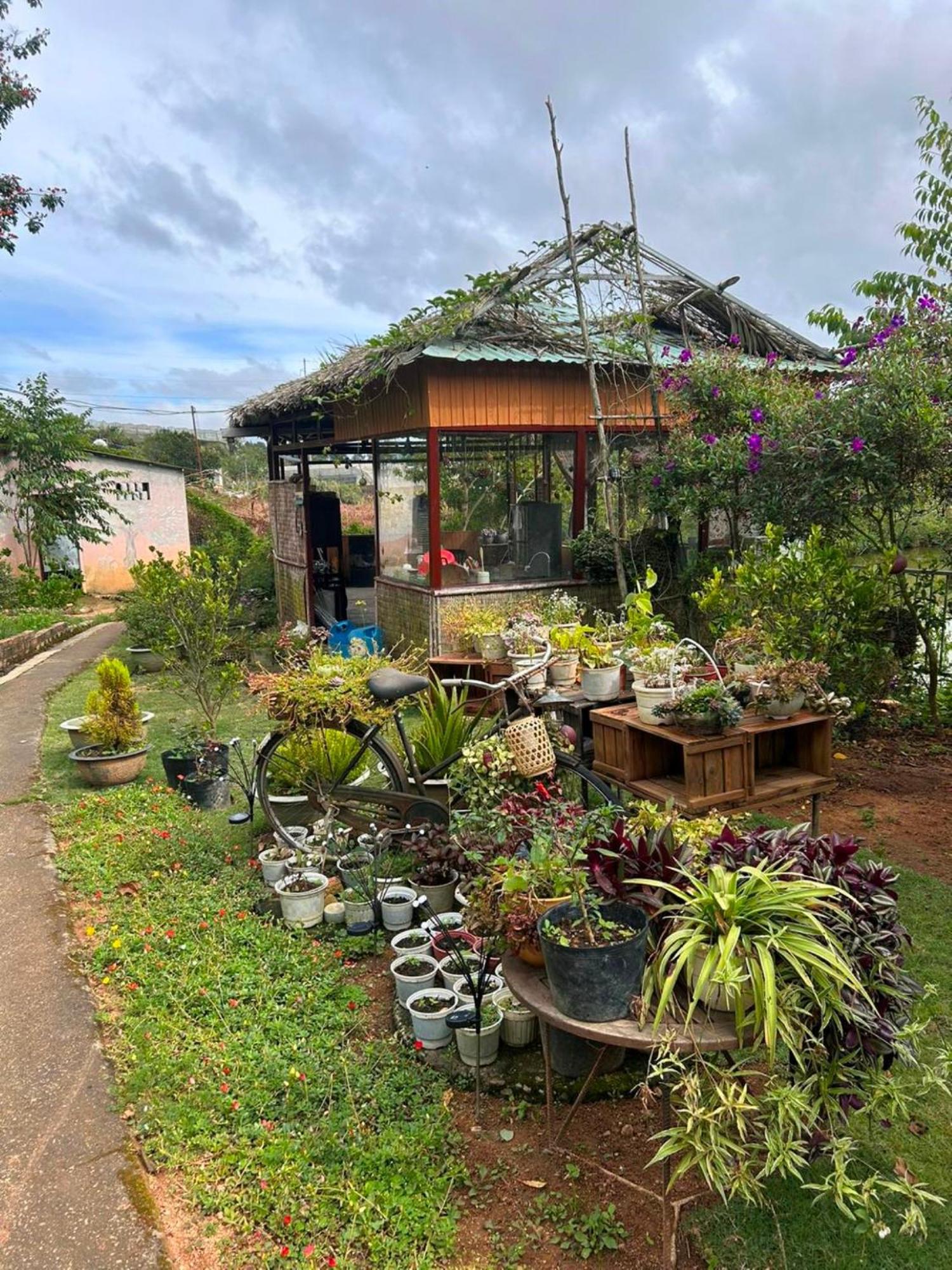 Nha Ben Ho - Da Lat Homestay Bagian luar foto