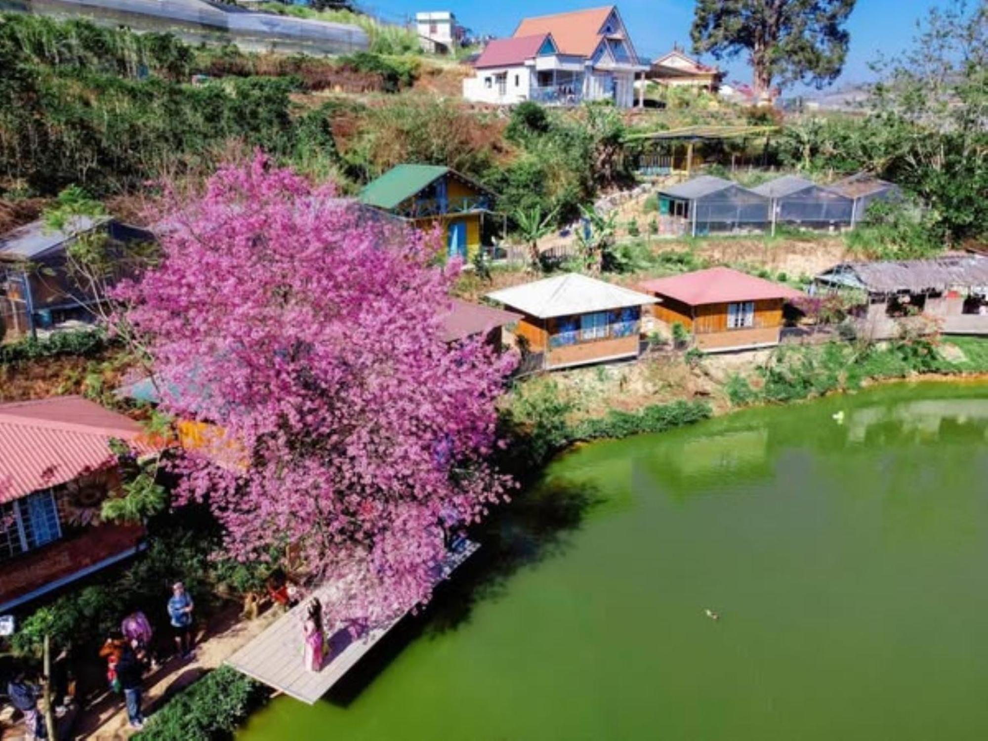 Nha Ben Ho - Da Lat Homestay Bagian luar foto