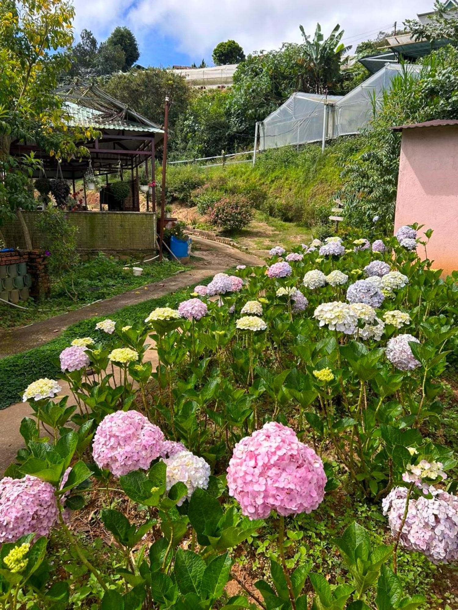 Nha Ben Ho - Da Lat Homestay Bagian luar foto
