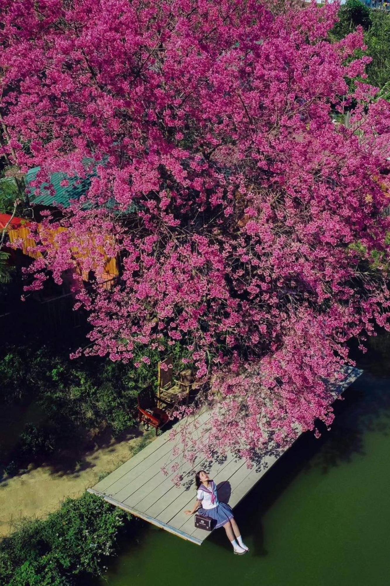 Nha Ben Ho - Da Lat Homestay Bagian luar foto