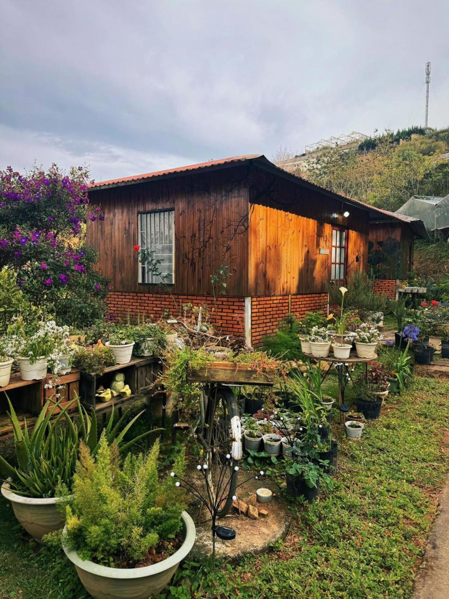 Nha Ben Ho - Da Lat Homestay Bagian luar foto