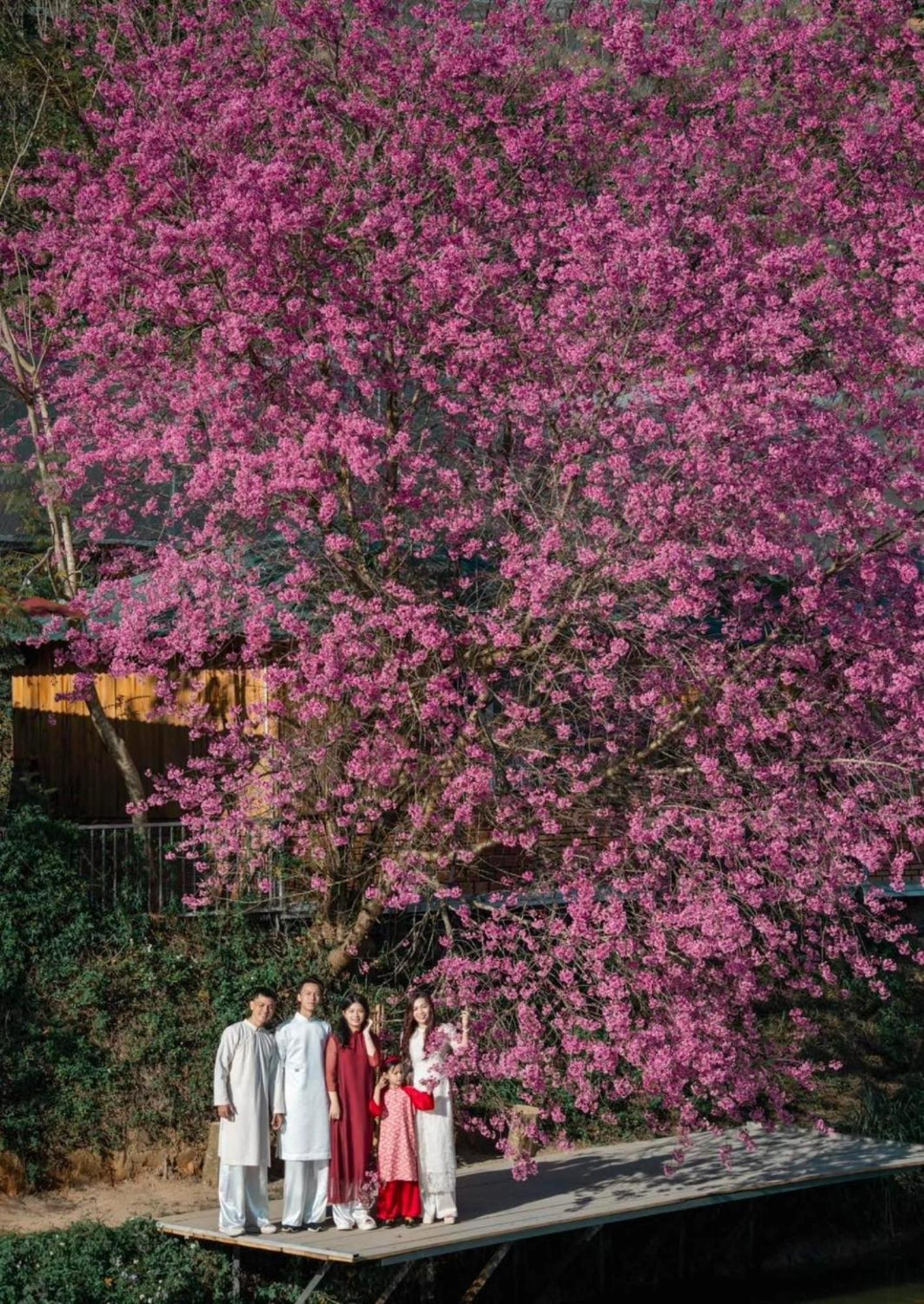 Nha Ben Ho - Da Lat Homestay Bagian luar foto