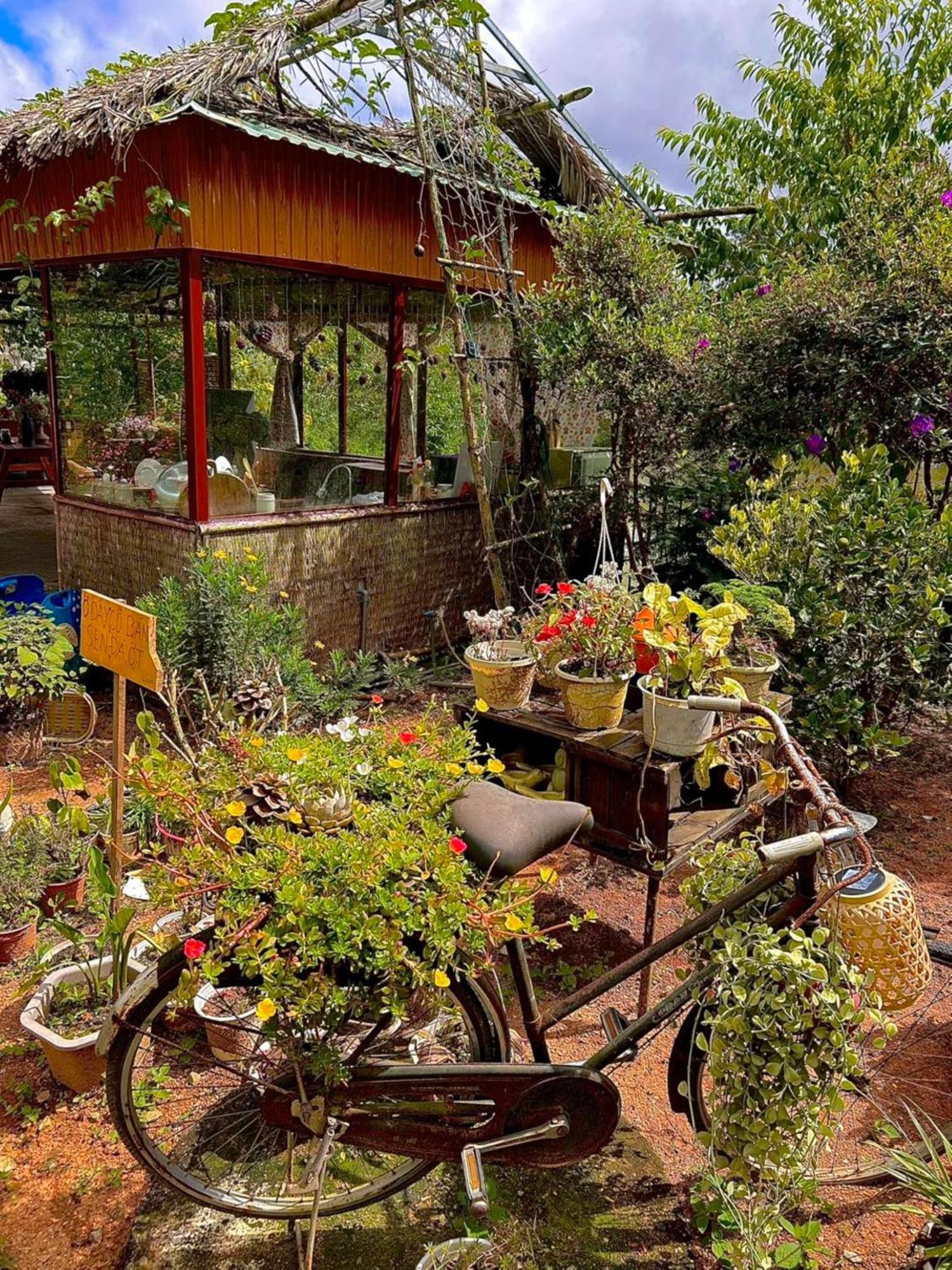 Nha Ben Ho - Da Lat Homestay Bagian luar foto