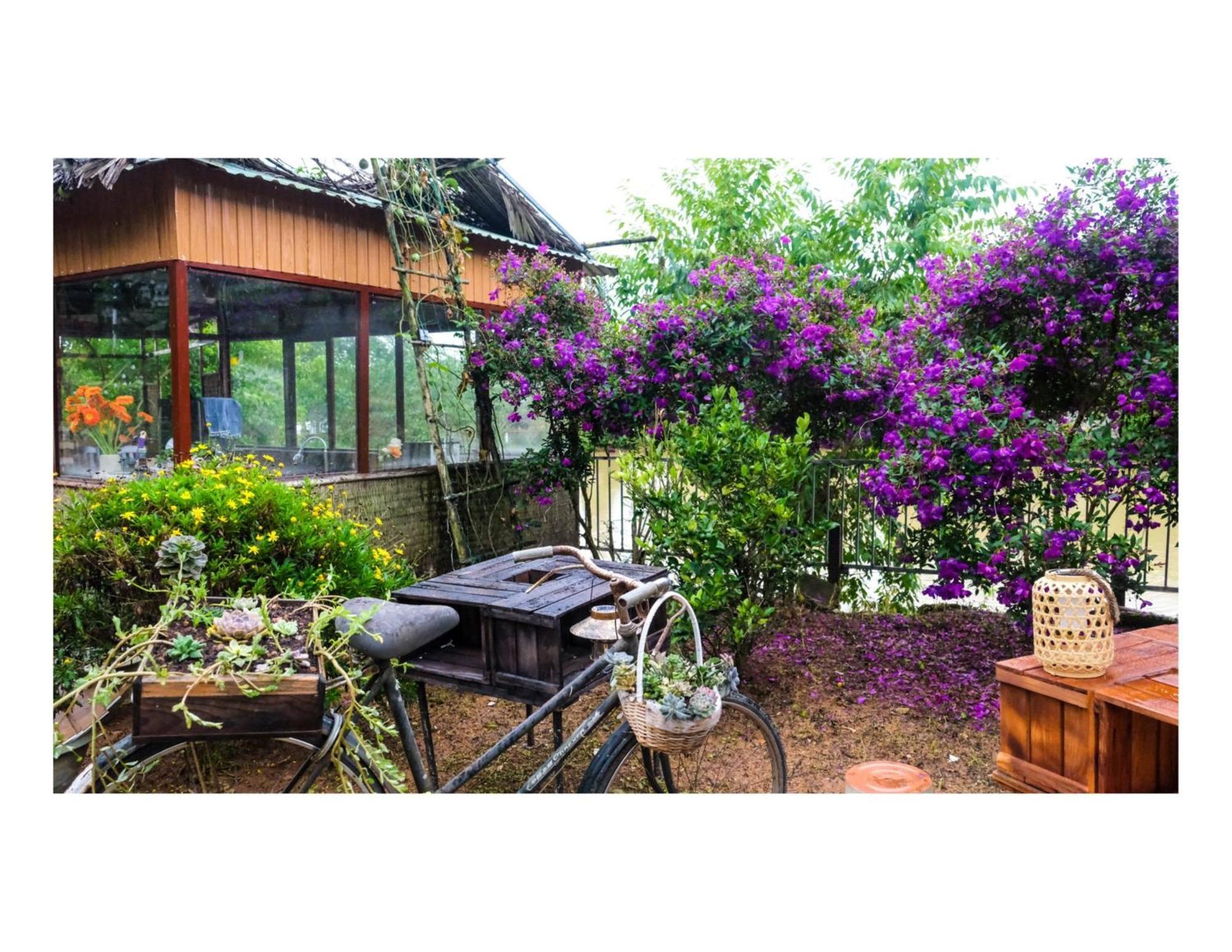 Nha Ben Ho - Da Lat Homestay Bagian luar foto